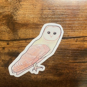 Barn Owl Decal - Watercolor Bird Art - Bird Sticker