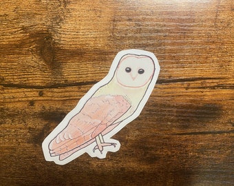 Scheune Eule Aufkleber - Aquarell Vogel Kunst - Vogel-Aufkleber