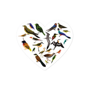 Bird heart decal - bird lover sticker - wildlife sticker - wild bird decal