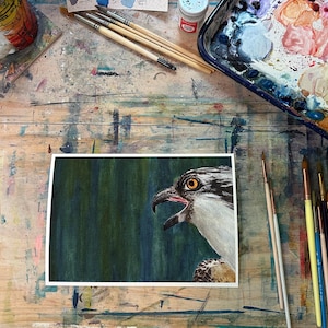 Osprey watercolor painting 10x7” giclee print
