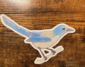 Florida Scrub Jay Sticker: Watercolor Bird Art, Wildlife Decal