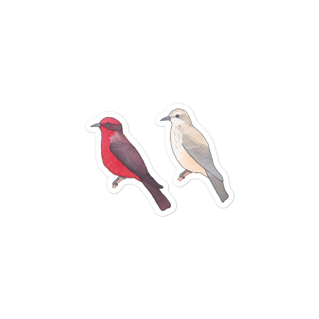 Vermilion Flycatcher Bird Decal Watercolor Bird Art Bird Sticker Cute