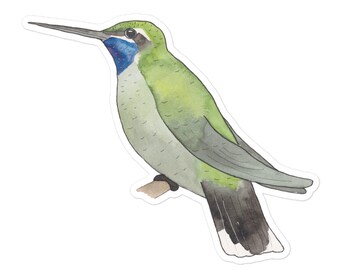 Autocollant d'espèces d'oiseaux de montagne à gorge bleue