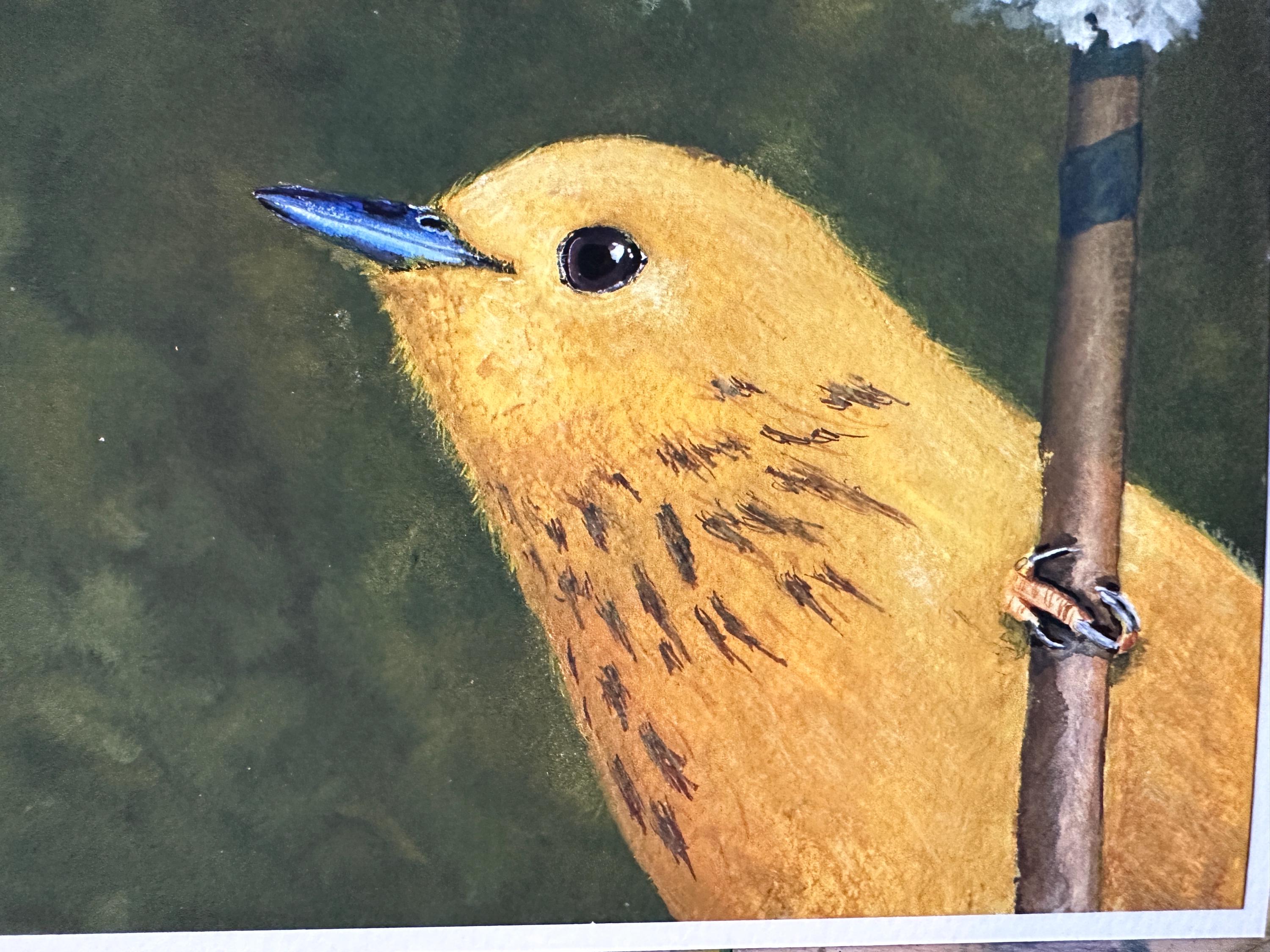 キイロアメリカムシクイの緑の絵画 8x8インチ ジクレープリント - Etsy