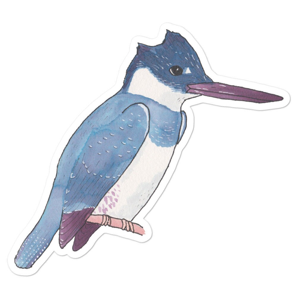 Female Belted Kingfisher Weatherproof Vinyl Sticker