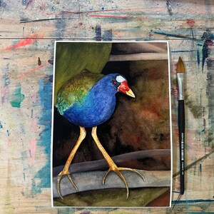 Purple gallinule watercolor painting 7x10” giclee print