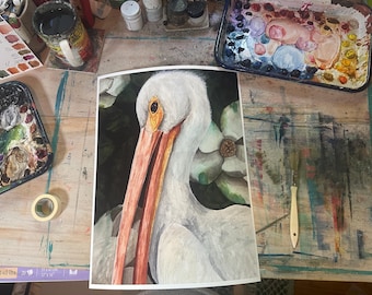Pelikan biały, akwarela, wydruk giclee, 12x16 cali