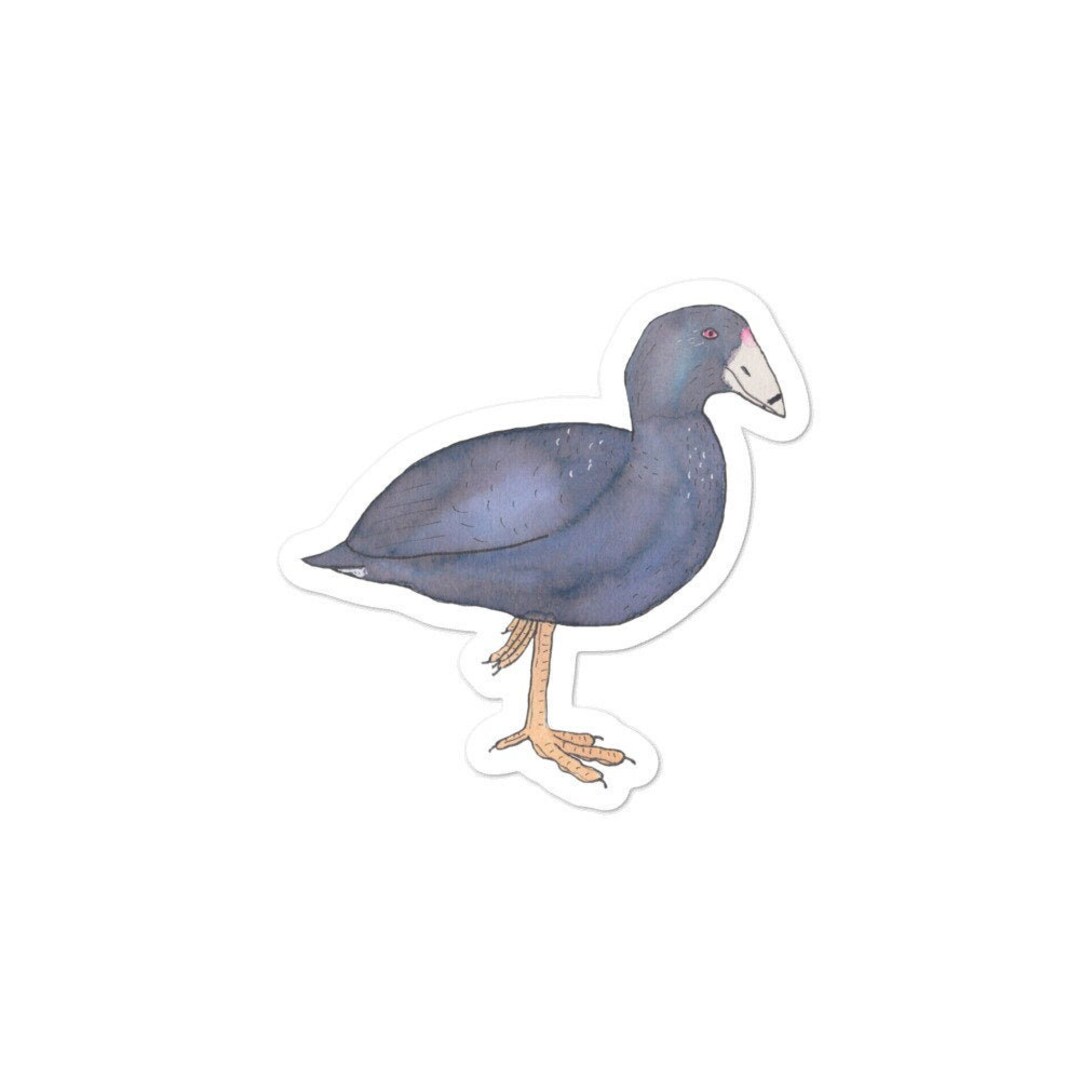 American Coot Sticker: Watercolor Bird Art, Laptop Decal - Etsy