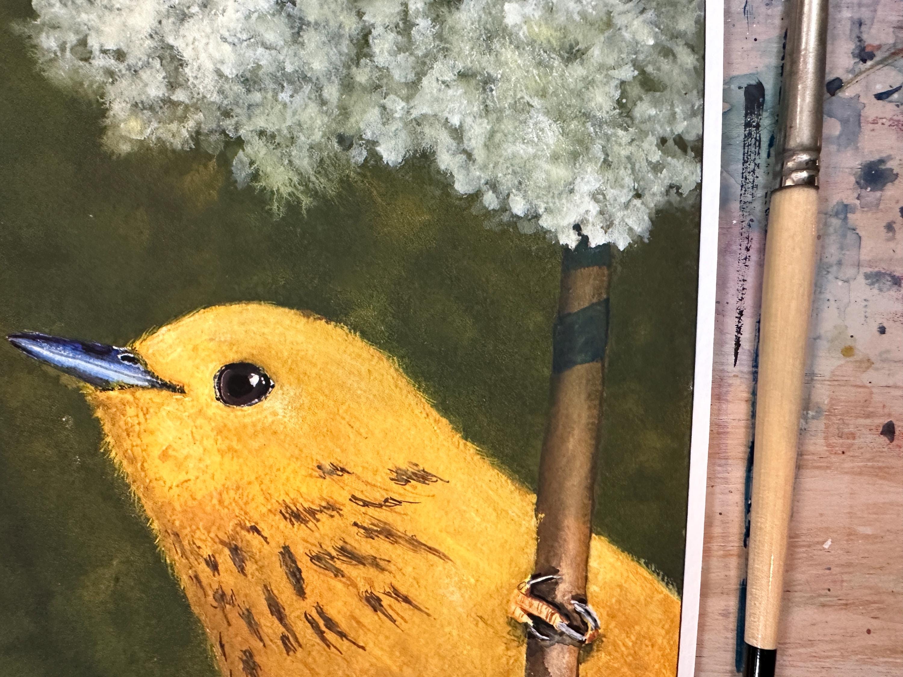 キイロアメリカムシクイの緑の絵画 8x8インチ ジクレープリント - Etsy