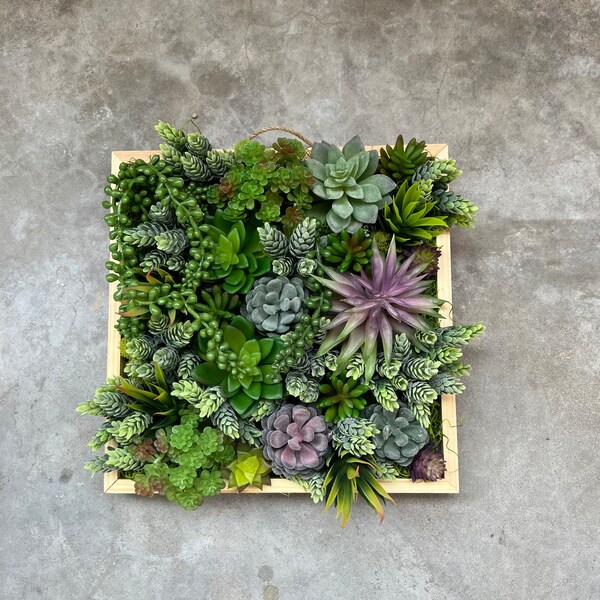 Succulent Wall Art Shop Online Etsy
