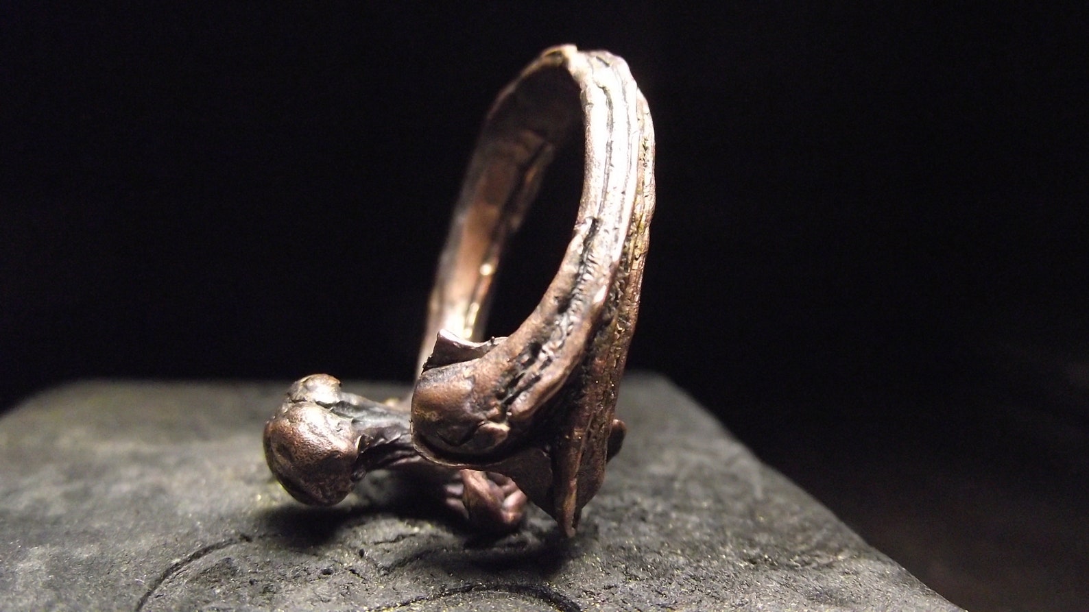 Bronze Human bone ring anatomy jewelry Etsy