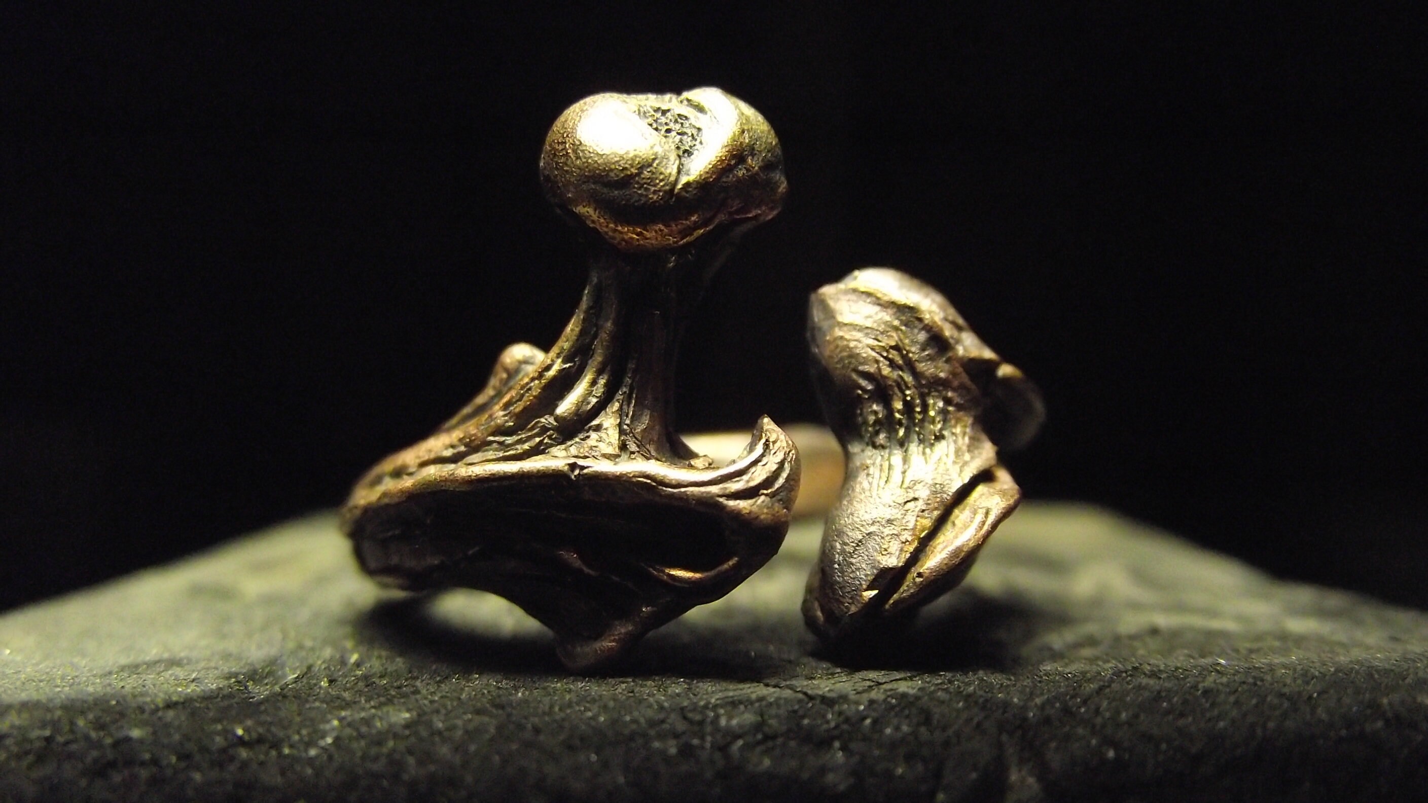 Bronze Human bone ring anatomy jewelry Etsy