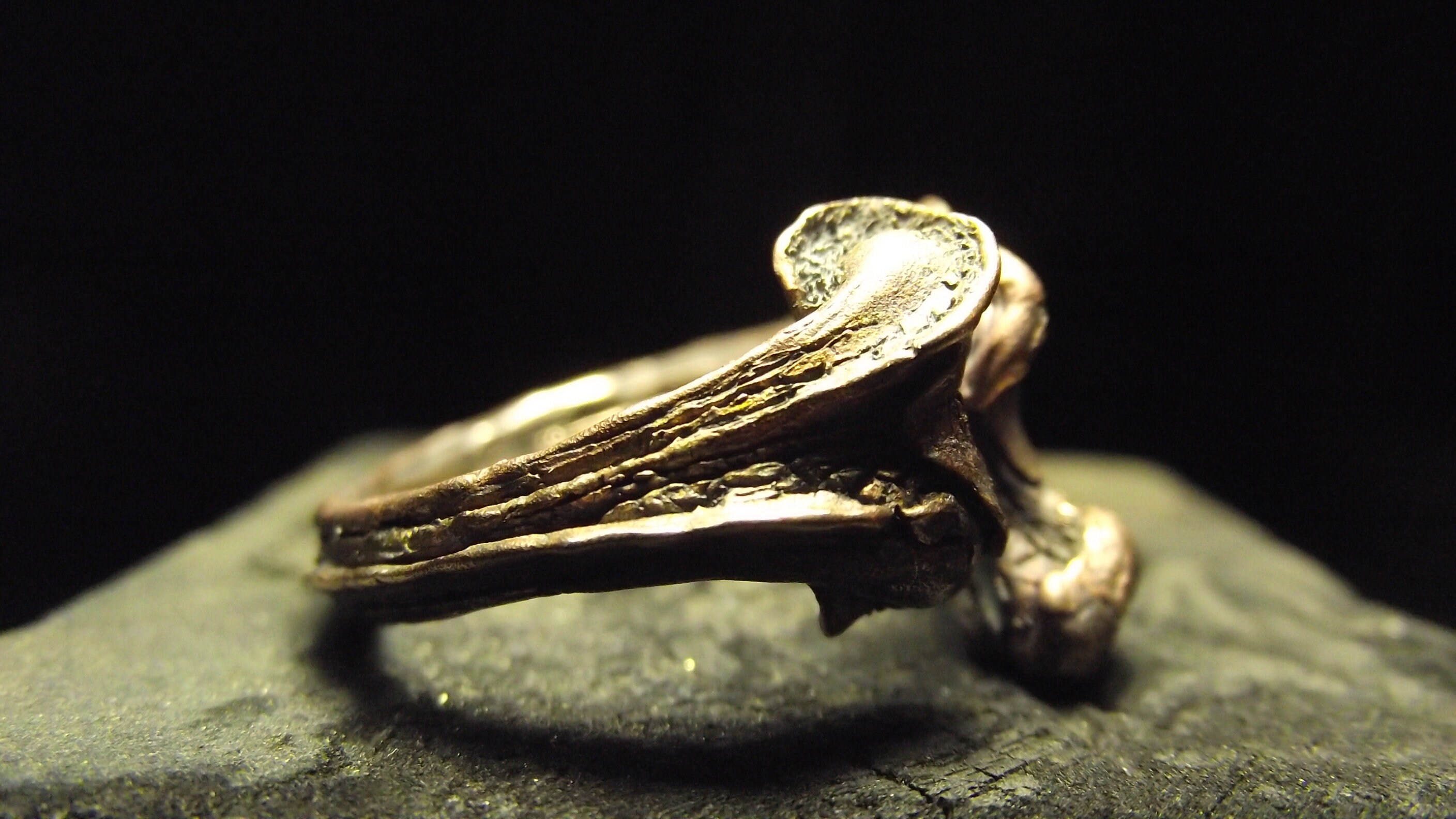 Bronze Human bone ring anatomy jewelry Etsy