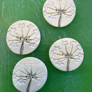 Dandelion Buttons: White Set of 4, 1 inch Ceramic Buttons.