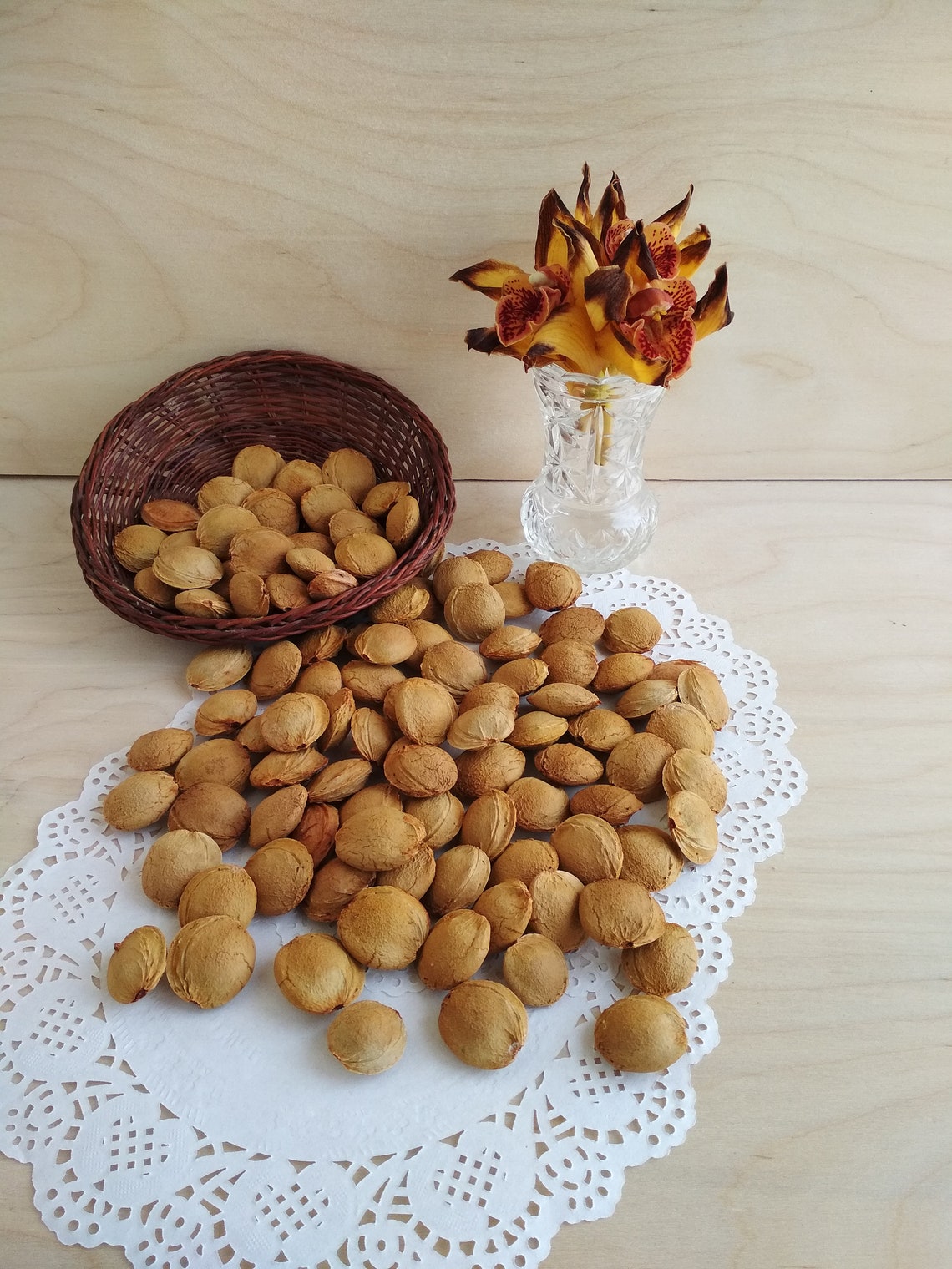Apricot Pits Real Natural Apricot Pits Harvest 2020. Etsy