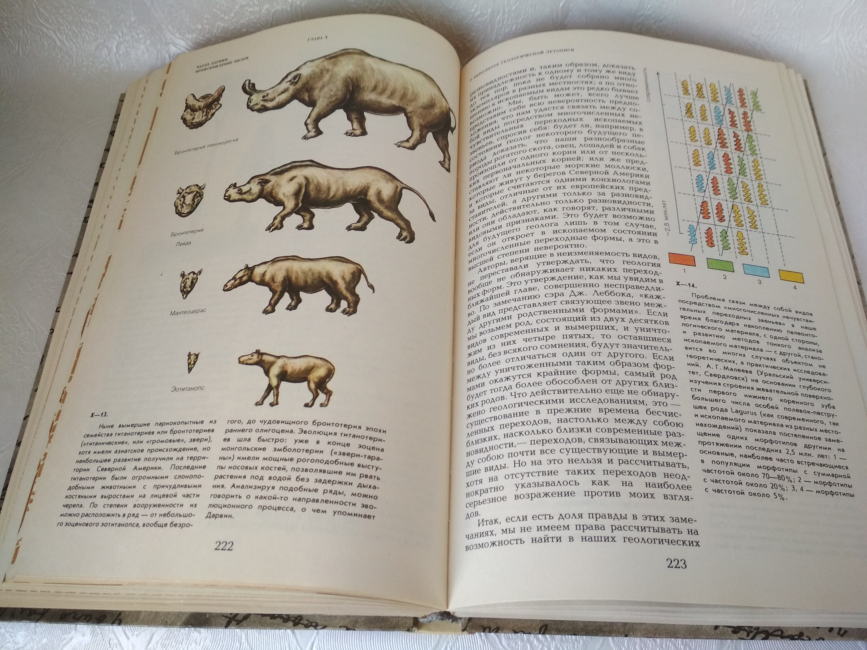 Charles Darwin Buch The Origin of Sp Charles Darwin book. Ein Buch über