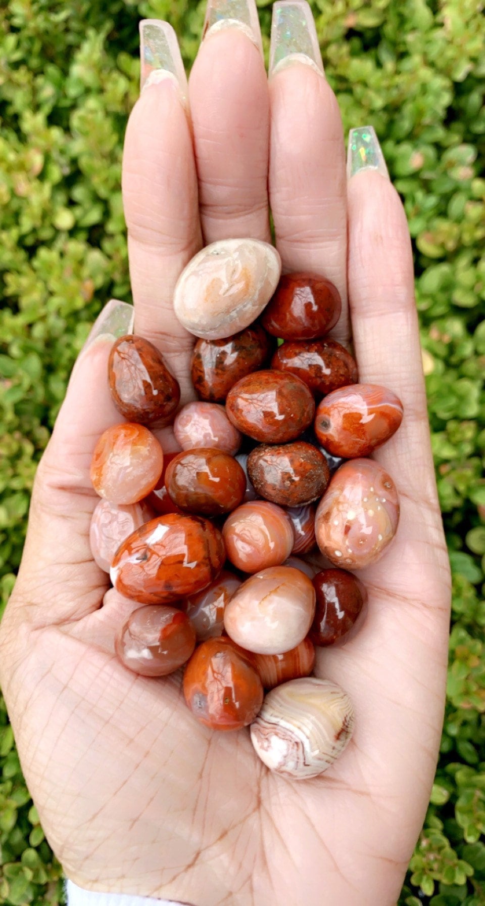 Red Blood Agate Etsy UK