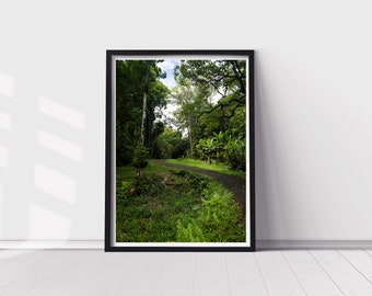 Nature Photography, Printable Wall Art, Hawaii Photography, Downloadable Art, Greenery