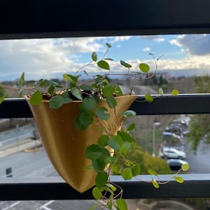 Self Watering Pot
