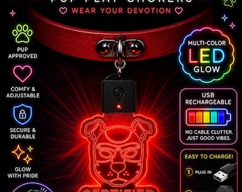 Certified Good Boy LED Pup Play Choker – Glowing Pet Play Collar with Rechargeable Light-Up Tag