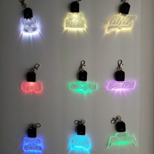 May include: Nine illuminated keychains with various designs and text. The keychains feature a winking fox, the text "Biscuit", "Griz", "Subtronics", "Illenium", "Flume", "Louis the Child", "Excision", and "Marauda". Each keychain has a black top and a silver clasp.