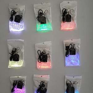Puede incluir: Nueve llaveros iluminados en bolsas de plástico transparente, cada uno con un cable USB y un llavero. Los llaveros tienen varios nombres y diseños, incluyendo "Gorgon City", "Jade T. Sweet" y "Marie Vaun". Las luces brillan en diferentes colores.