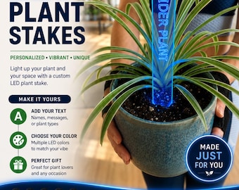 Custom LED Plant Stake | Personalized Indoor Plant Marker | USB RechargeableLight | Multi-Color Glow | Custom Plant Sign | Houseplant Gift