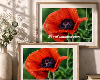 Remembrance Poppy Print Set | With & Without Text | Memorial Wall Art | Sympathy Gift | Floral Photography | Printable Download