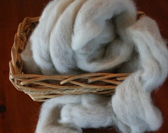 Alpaca Pure Alpaca Roving Spiral Blend of White and Brown Natural Fibers (Jenny)