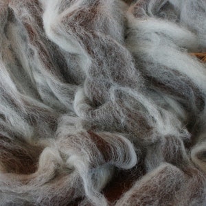 Spinning Fiber, Alpaca Pure Alpaca Roving Spiral Blend of White and Dark Brown Natural Fibers, Gift for Handspinner image 2