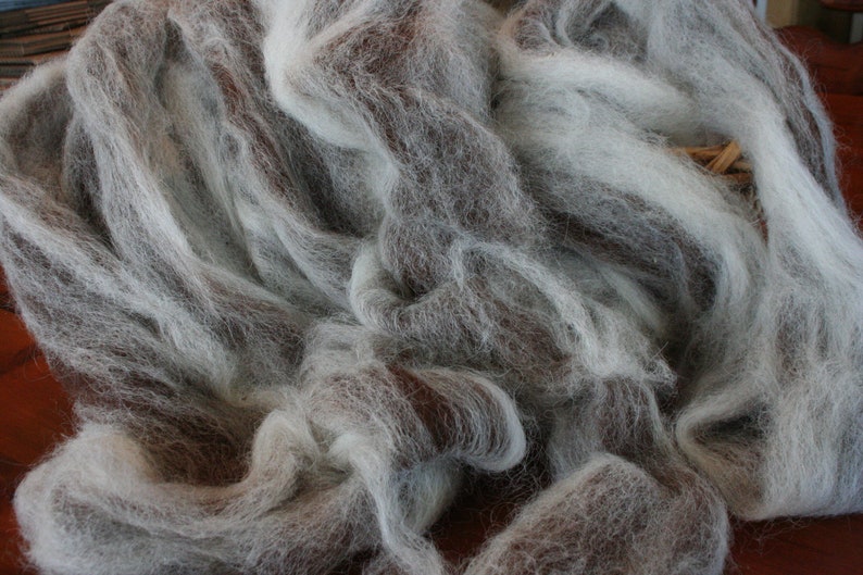 Spinning Fiber, Alpaca Pure Alpaca Roving Spiral Blend of White and Dark Brown Natural Fibers, Gift for Handspinner image 2