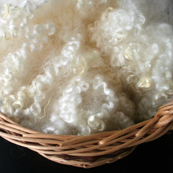 Highly Crimped White Border Leicester washed Wool for spinning felting or crafting, Wool for Doll Hair or Santa Beards, 2 ounces per order