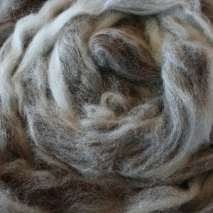 Spinning Fiber, Alpaca Pure Alpaca Roving Spiral Blend of White and Dark Brown Natural Fibers, Gift for Handspinner image 5