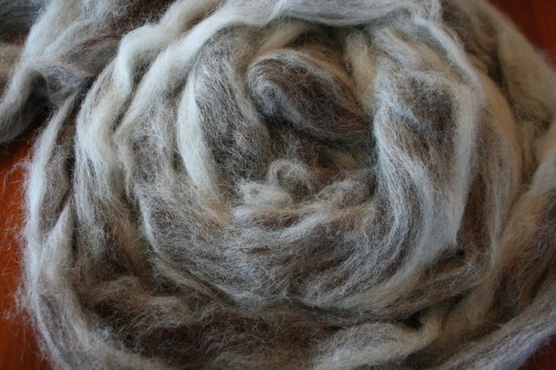 Spinning Fiber, Alpaca Pure Alpaca Roving Spiral Blend of White and Dark Brown Natural Fibers, Gift for Handspinner image 5