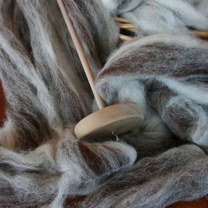 Spinning Fiber, Alpaca Pure Alpaca Roving Spiral Blend of White and Dark Brown Natural Fibers, Gift for Handspinner image 1