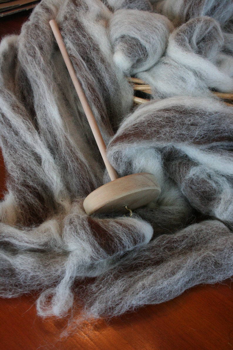 Spinning Fiber, Alpaca Pure Alpaca Roving Spiral Blend of White and Dark Brown Natural Fibers, Gift for Handspinner image 1