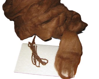 Spinning Fiber, Suri Alpaca roving rich dark brown ready to spin
