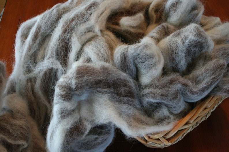 Spinning Fiber, Alpaca Pure Alpaca Roving Spiral Blend of White and Dark Brown Natural Fibers, Gift for Handspinner image 3