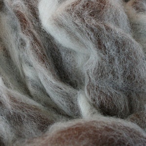 Spinning Fiber, Alpaca Pure Alpaca Roving Spiral Blend of White and Dark Brown Natural Fibers, Gift for Handspinner image 4