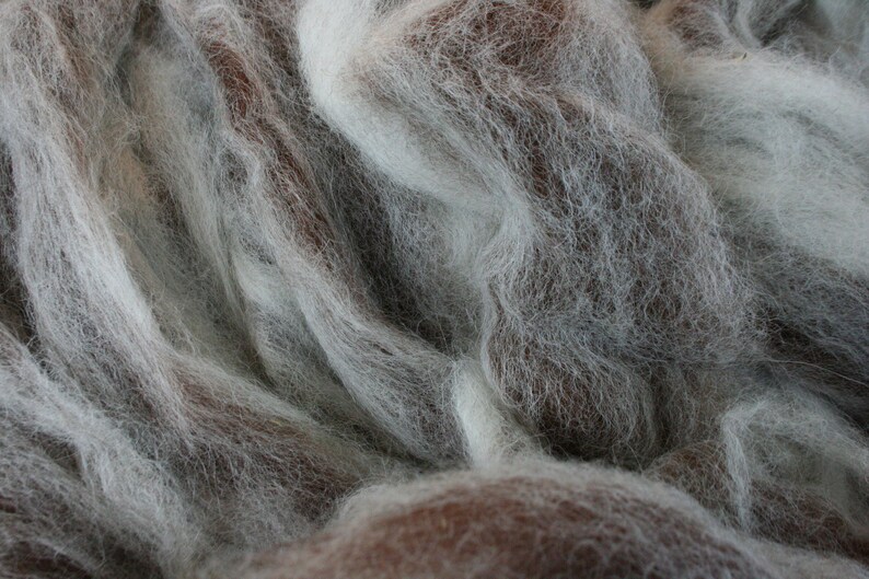 Spinning Fiber, Alpaca Pure Alpaca Roving Spiral Blend of White and Dark Brown Natural Fibers, Gift for Handspinner image 4