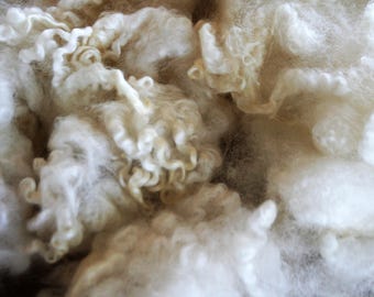 May include: Close-up of raw, unprocessed wool fibers. The wool is a creamy white color with varying textures, from soft, fluffy clouds to tightly curled locks. Ideal for fiber art, spinning, or felting projects.