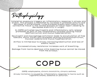 Puede incluir: Una infografía verde y blanca sobre la enfermedad pulmonar obstructiva crónica (EPOC). La infografía incluye información sobre la fisiopatología, el manejo y los riesgos y beneficios del tratamiento de la EPOC.