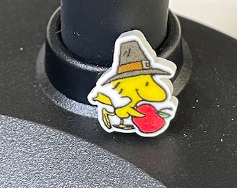 Ready for Thanksgiving