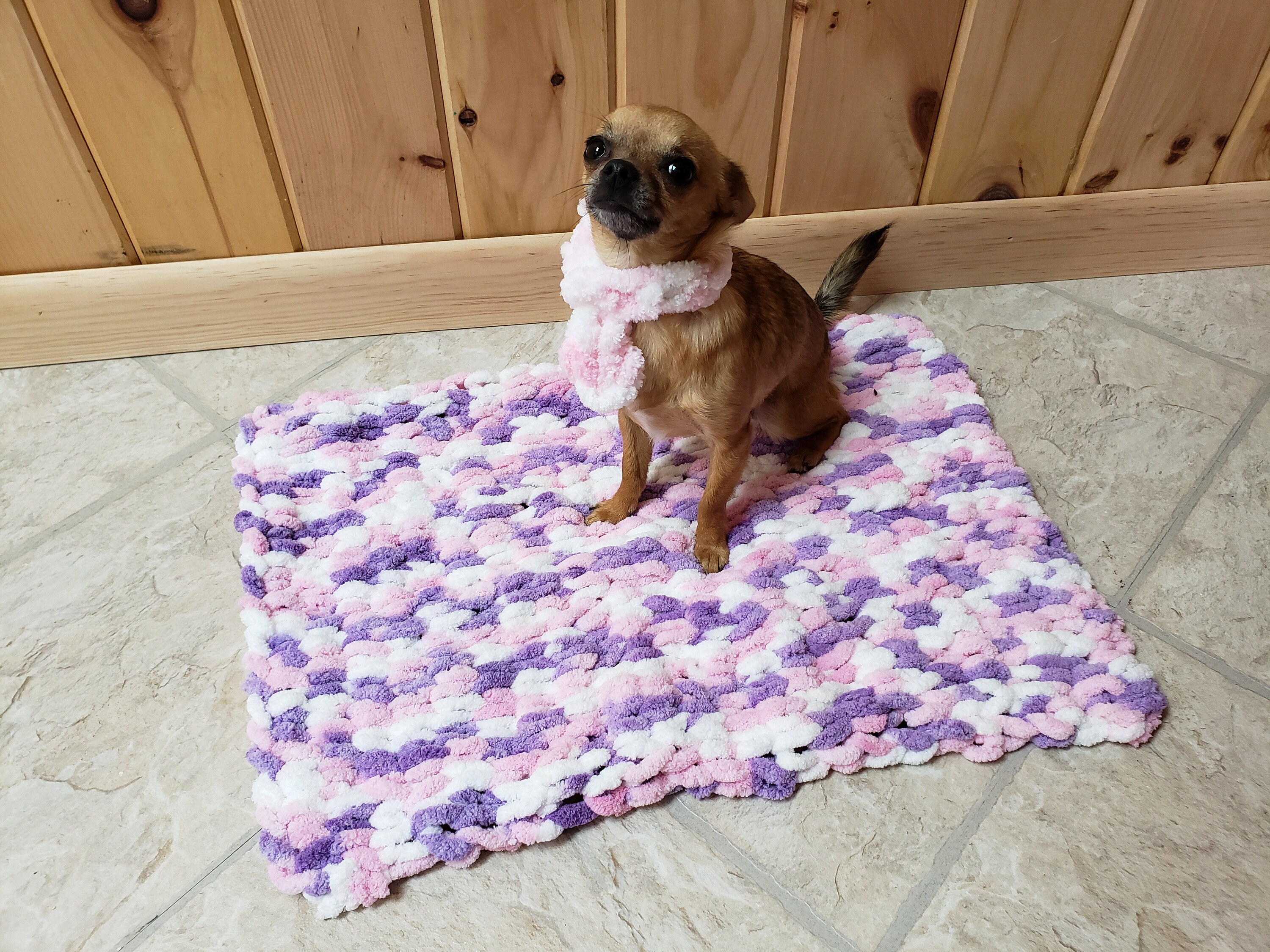 Plush Pet Comfort Blanket Etsy