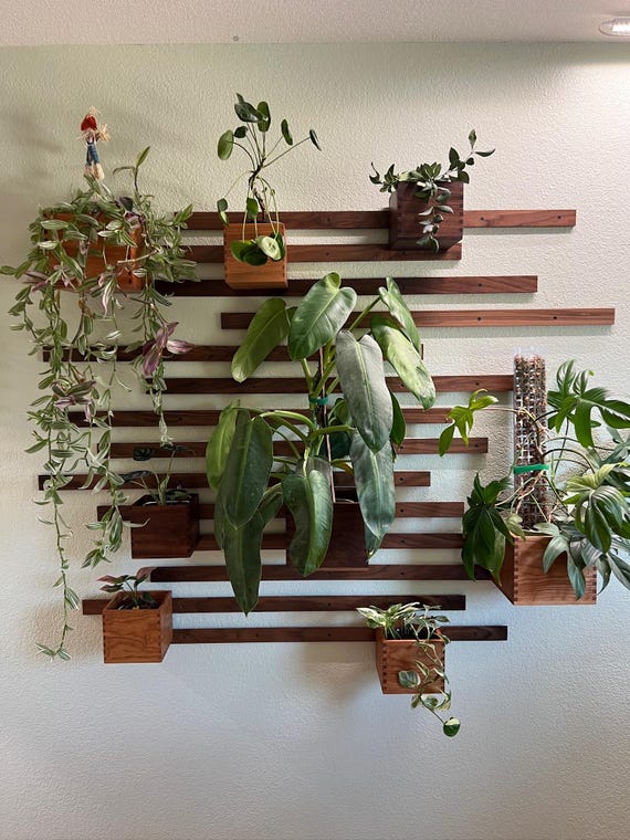 Handmade Natural Walnut Plant Wall: Customizable Self-watering