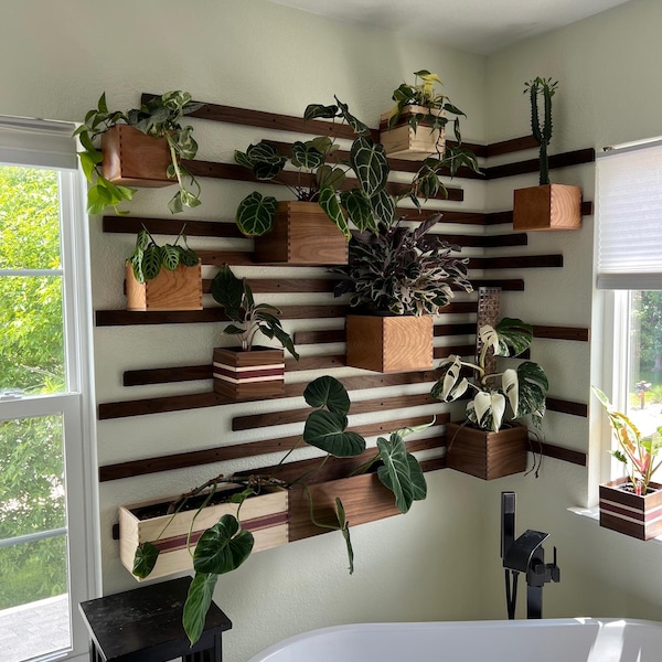 Pared de plantas de nogal natural hecha a mano: macetero con sistema de autorriego personalizable.