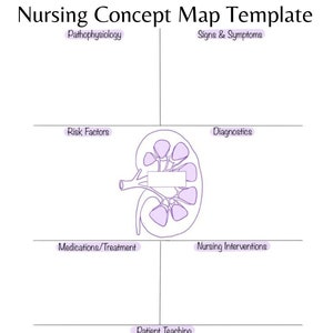 Nursing concept map, concept template, medical surgical, nephrology, kidneys