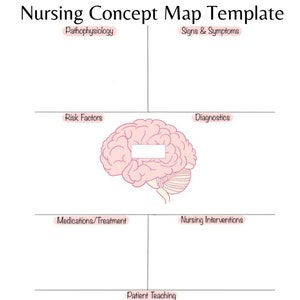 May include: A concept map template for nursing students. The template includes sections for pathophysiology, signs and symptoms, risk factors, diagnostics, medications and treatment, nursing interventions, and patient teaching. A pink brain illustration is in the center of the template.