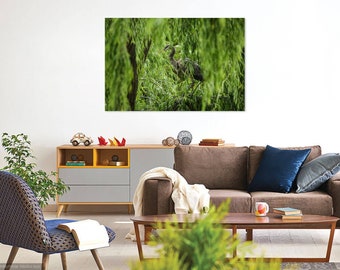 Great Blue Heron Photo Print, Home or Office Wall Art