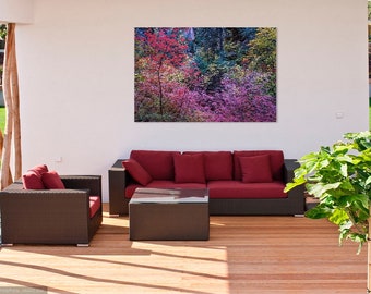 The Colors of Fall Zion National Park